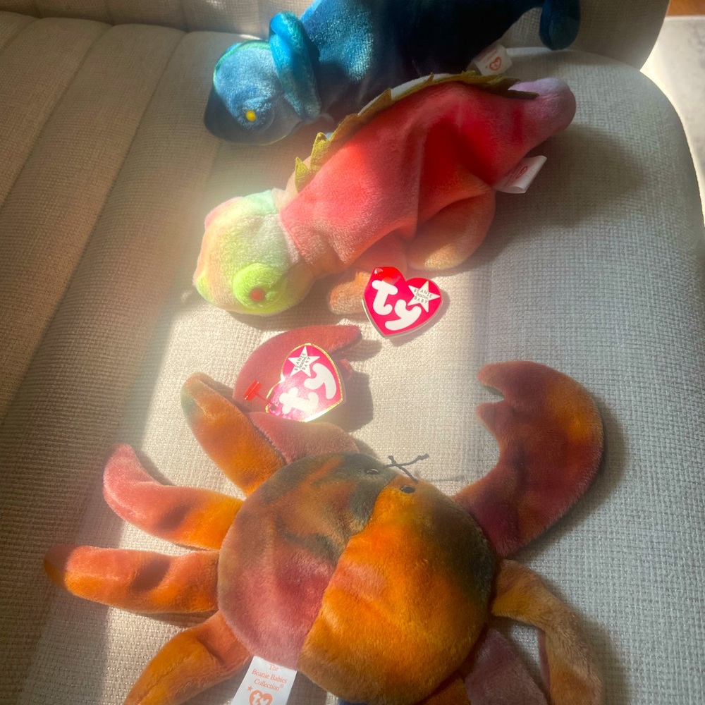 The beanie babies collection 3